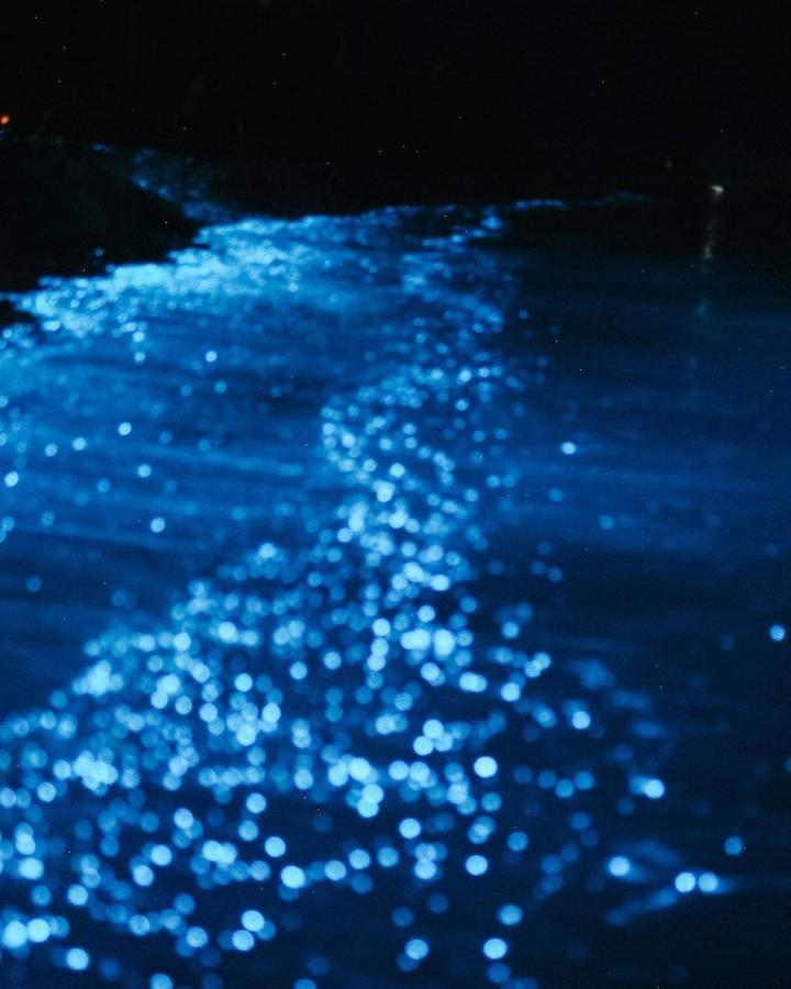 Rashuthere Maldives Rasdhoo Exterior foto